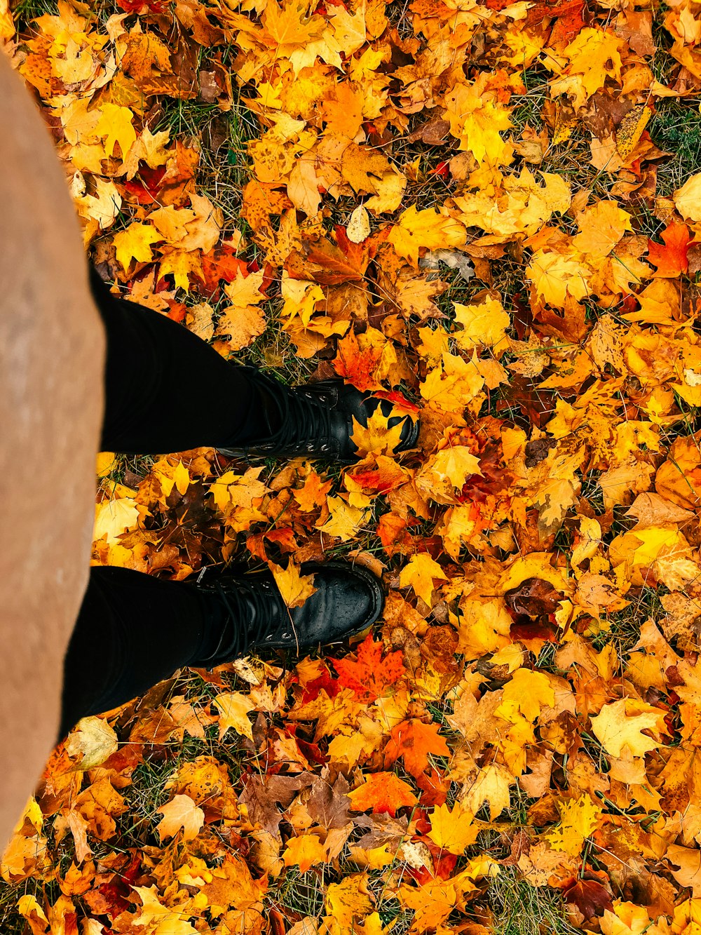 I piedi di una persona in un mucchio di foglie