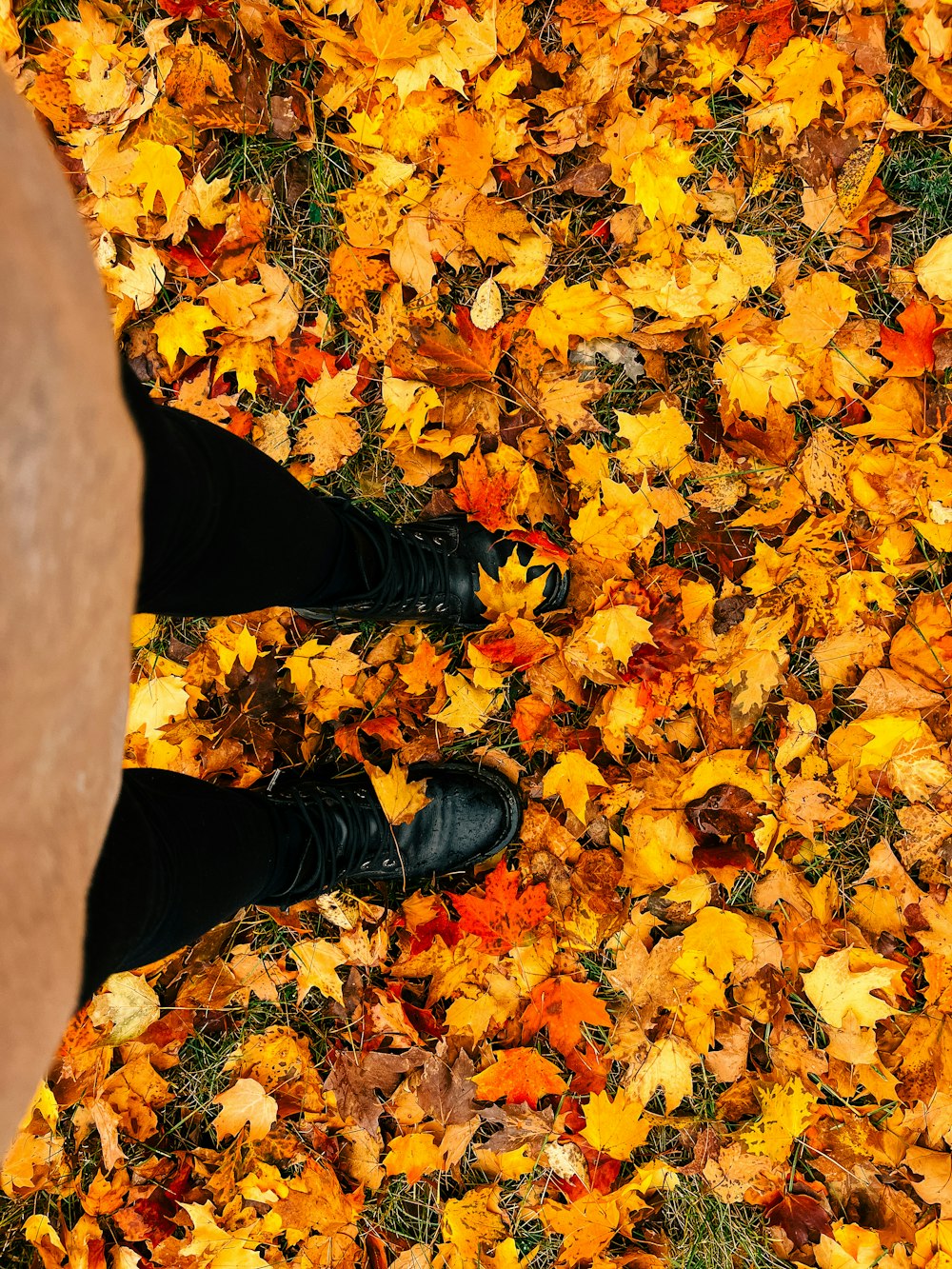 a person's feet in a pile of leaves