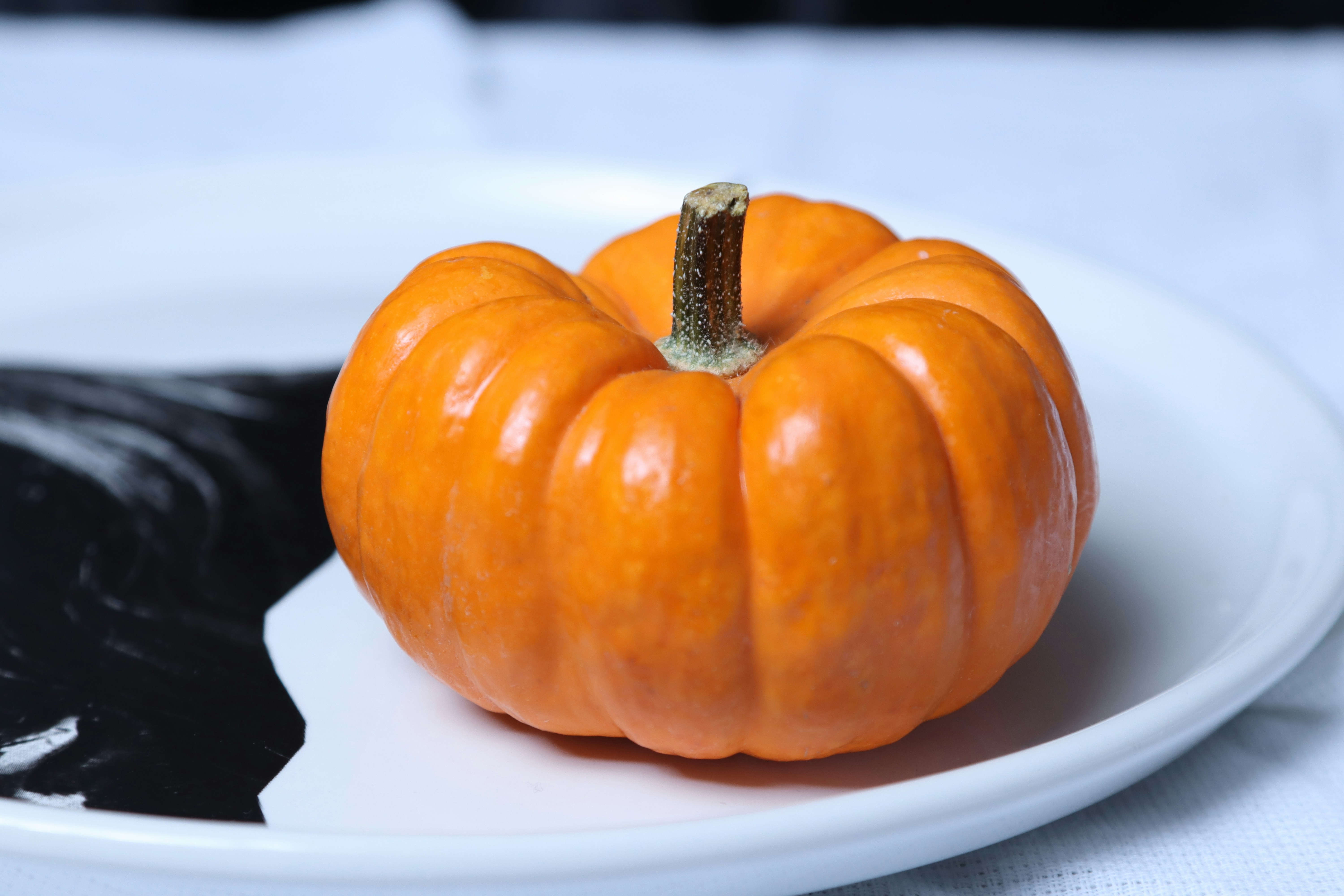 Photo by edgardo1987