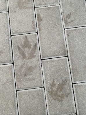 Stamped concrete walkway with intricate leaf patterns in a residential garden.