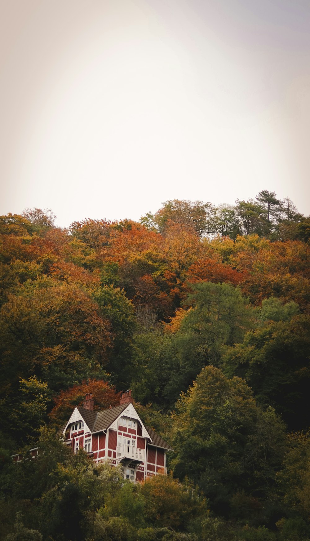 a house surrounded by trees