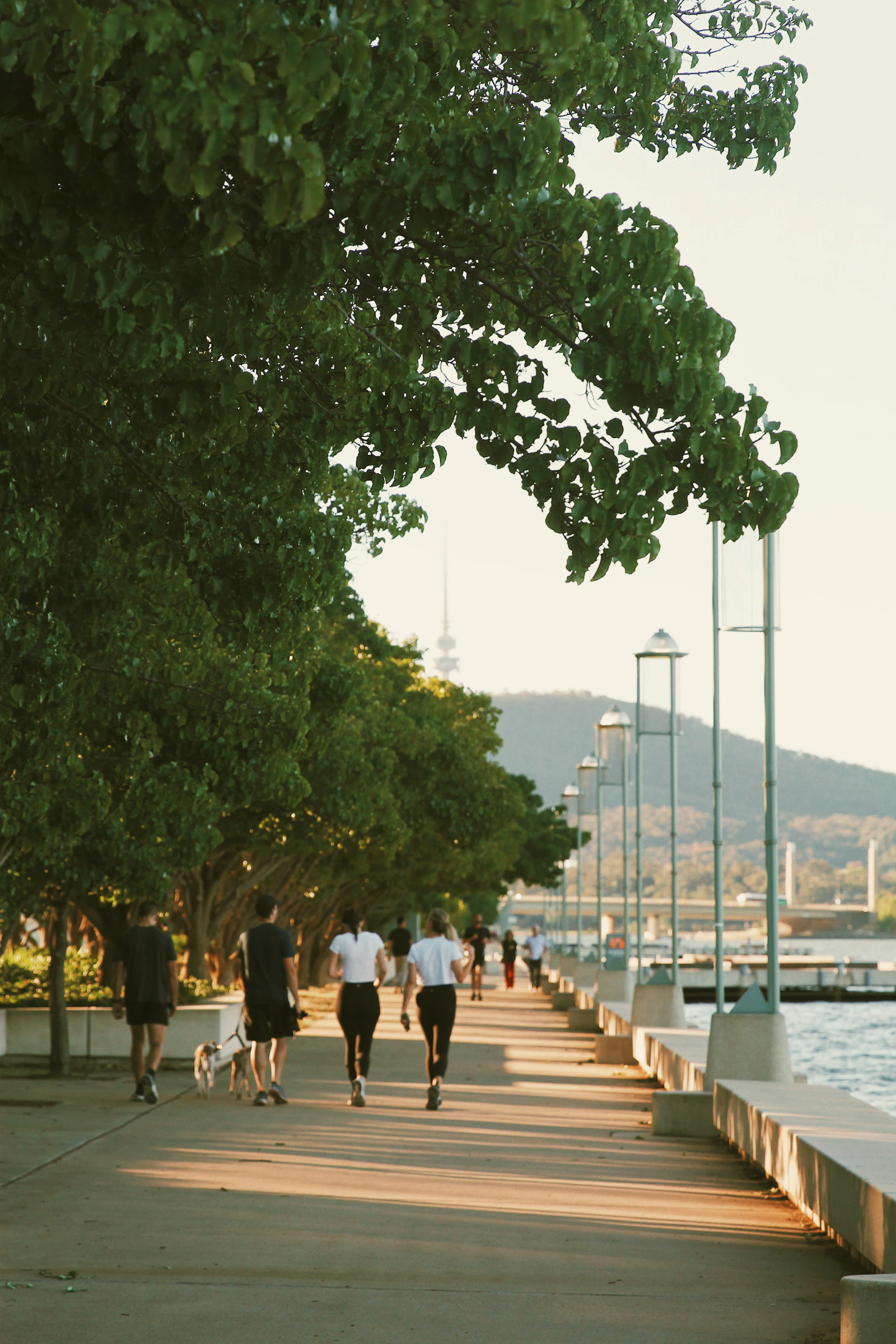 공원 산책로를 걷는 사람들