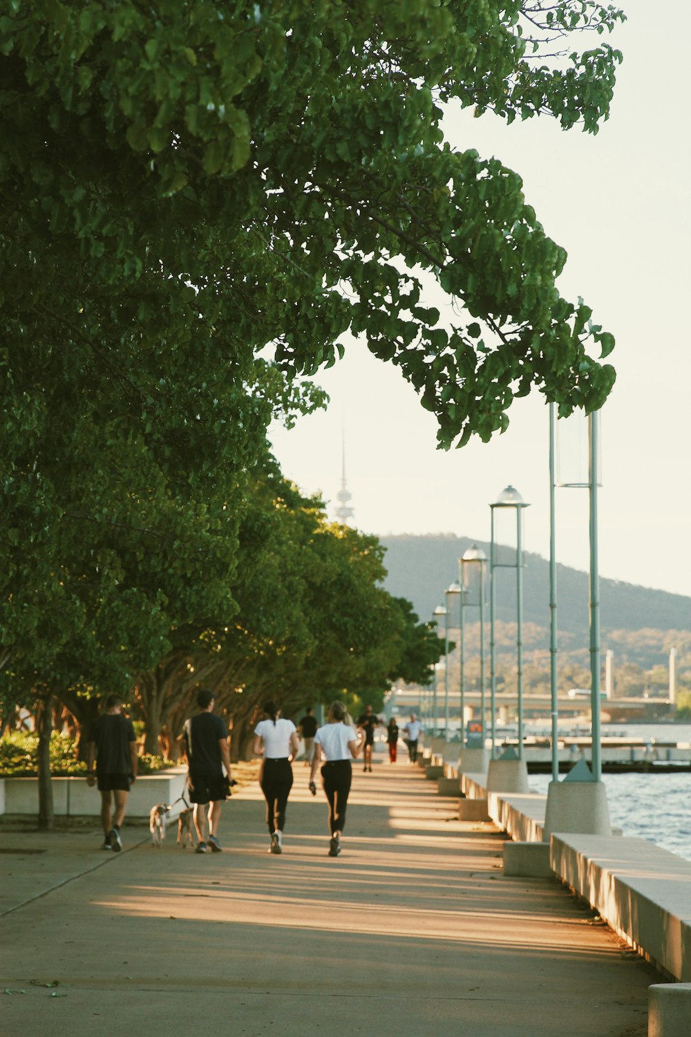 people walking on a path