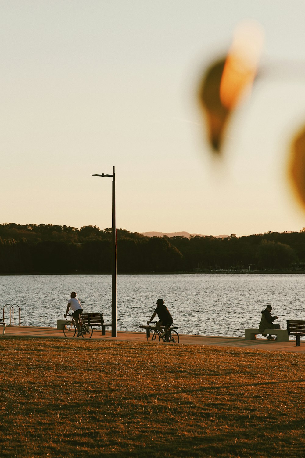 a group of people riding bikes on a path by a body of water