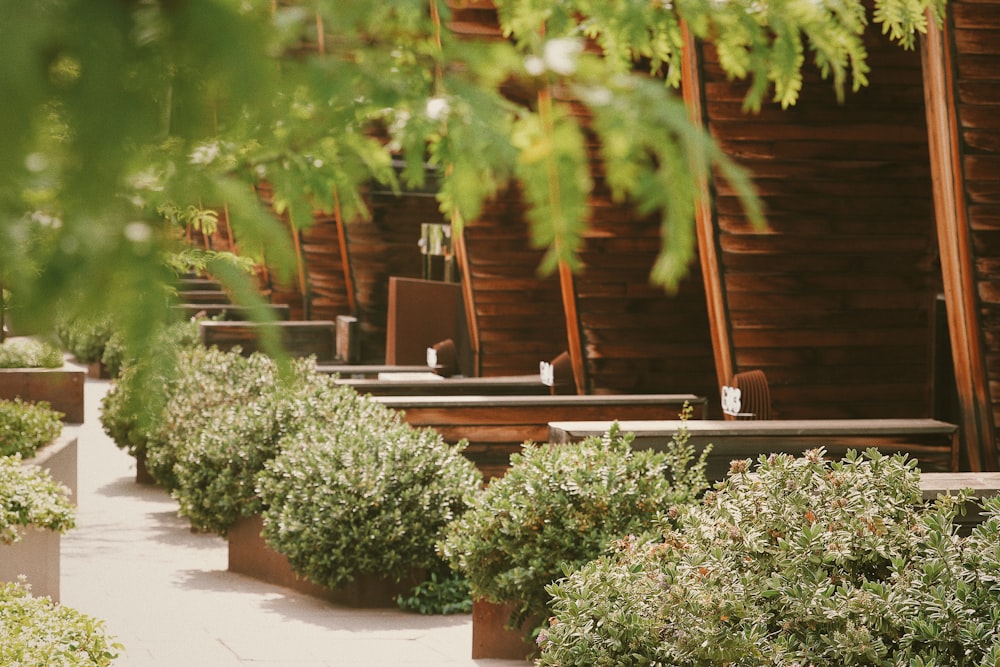 a patio with plants and a wood structure