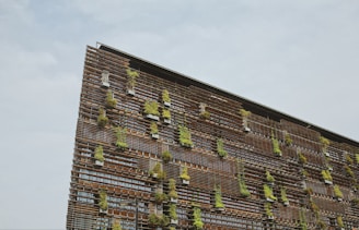 a brick wall with plants growing on it