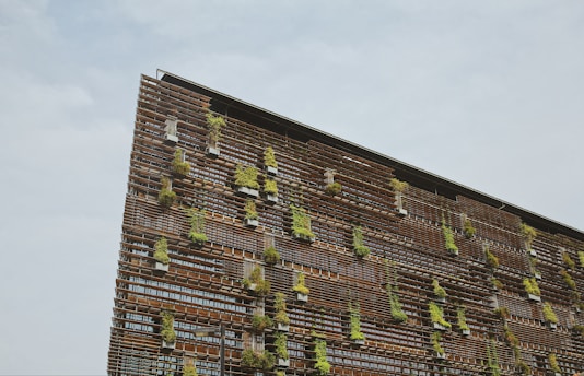 a brick wall with plants growing on it