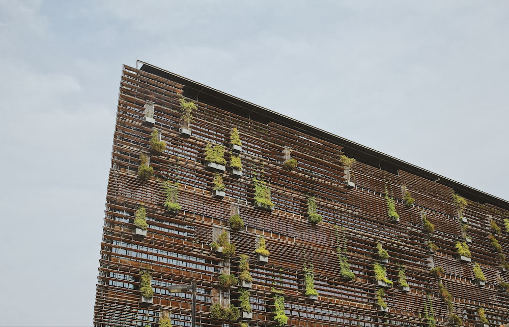 a brick wall with plants growing on it