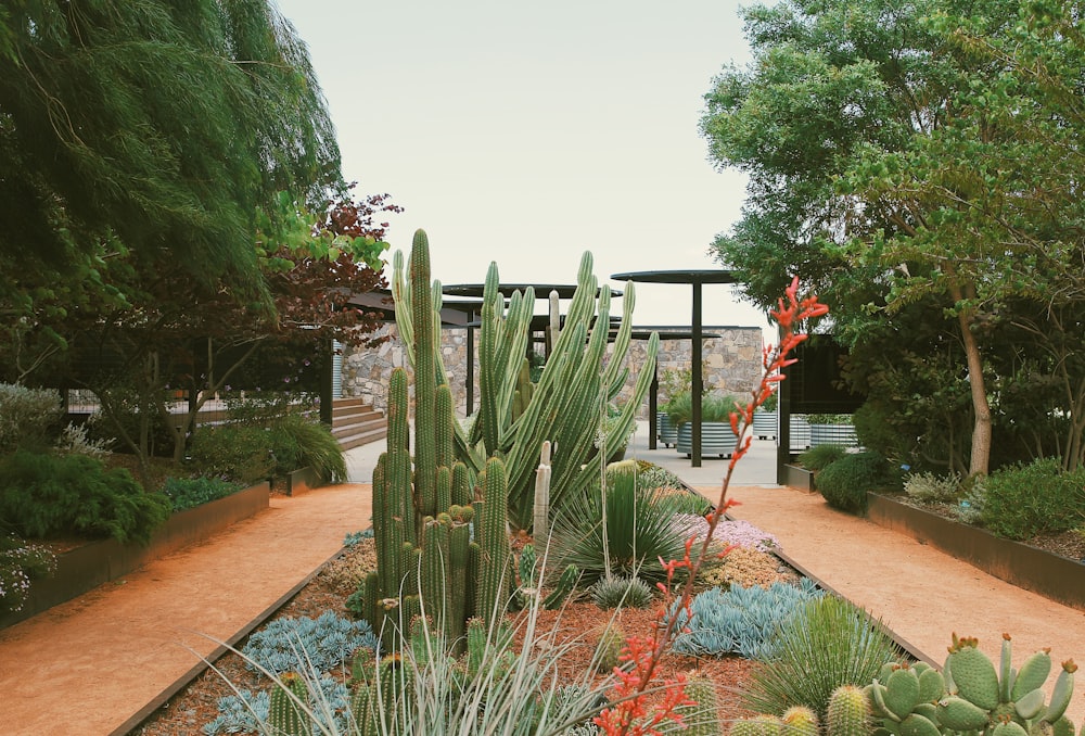 a garden with a slide