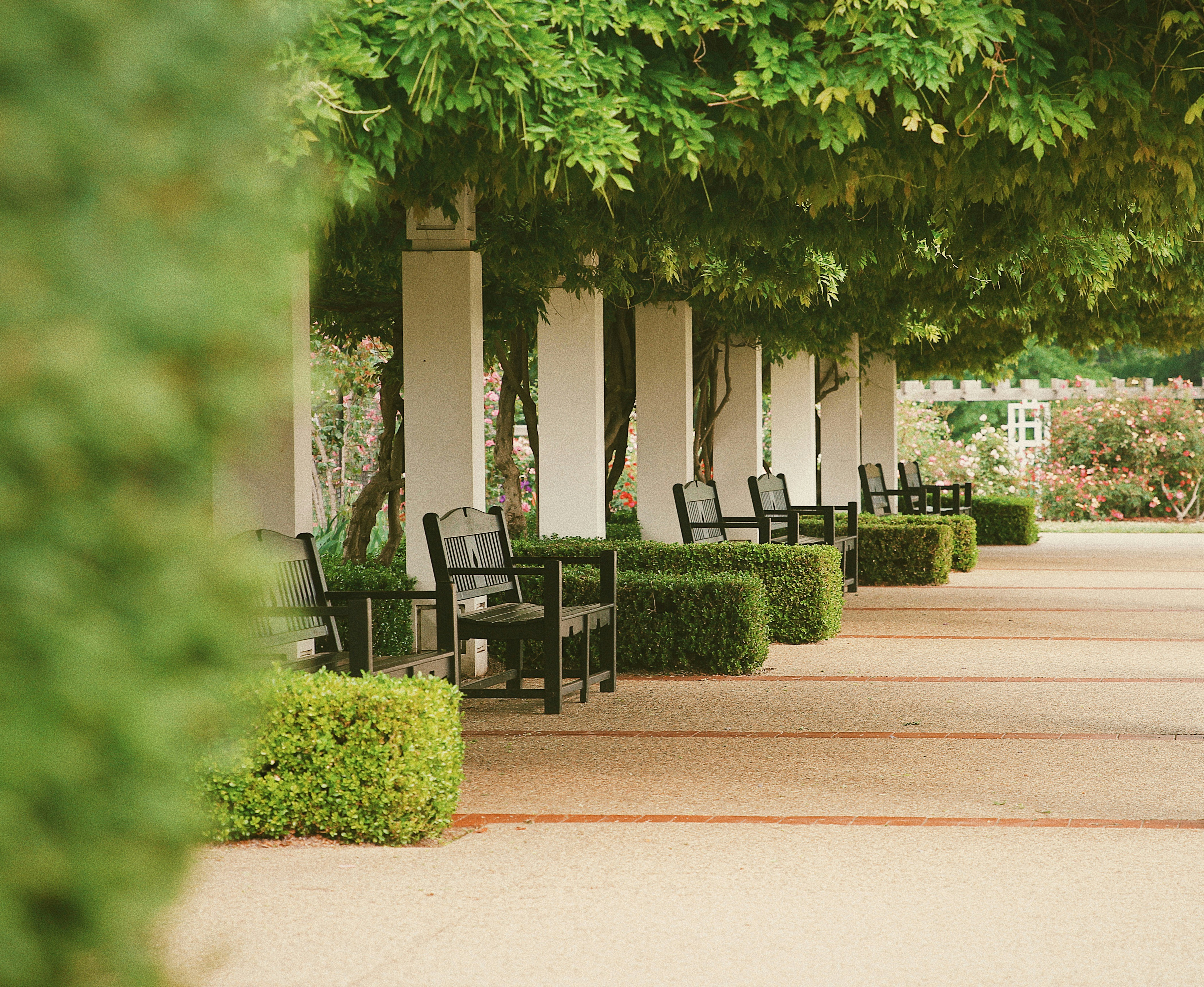 Cozy terrace garden seating area