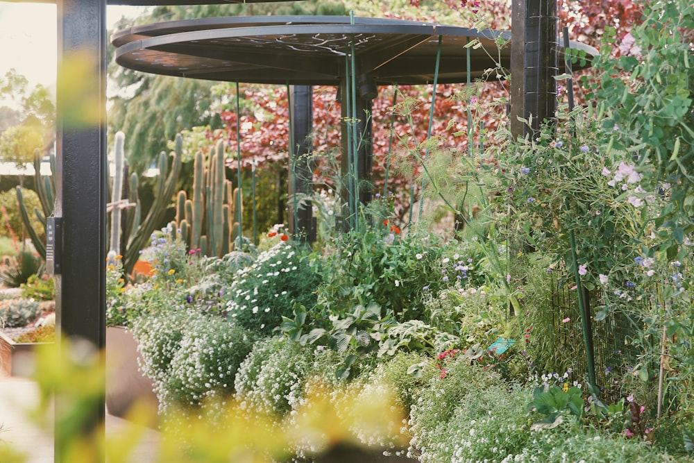 a garden with a gazebo