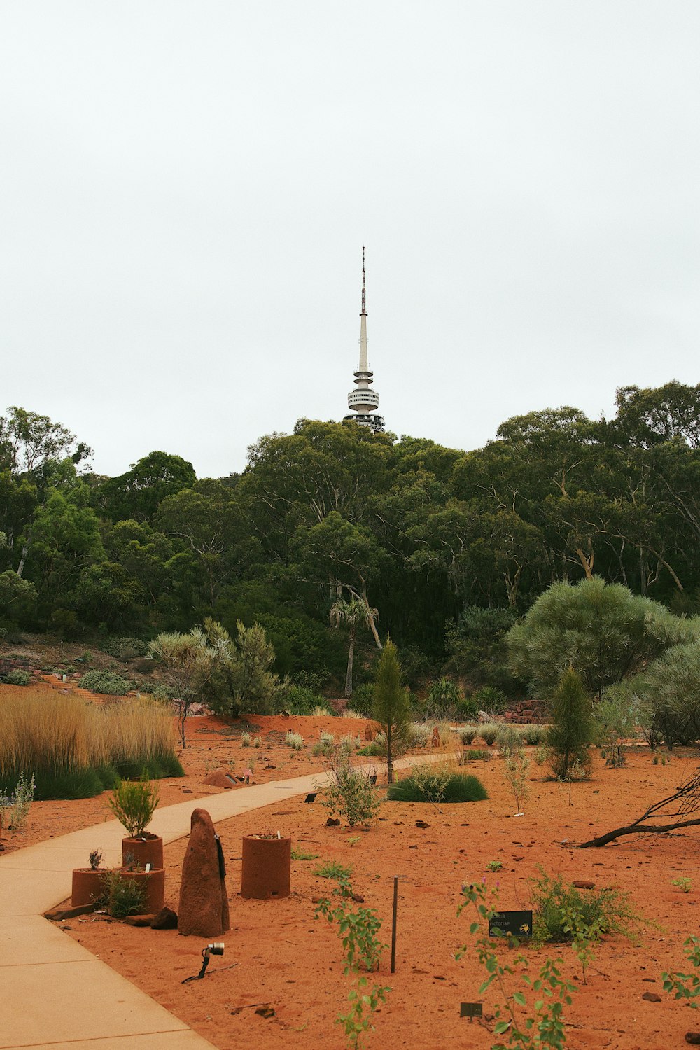 a garden with a tower in the background