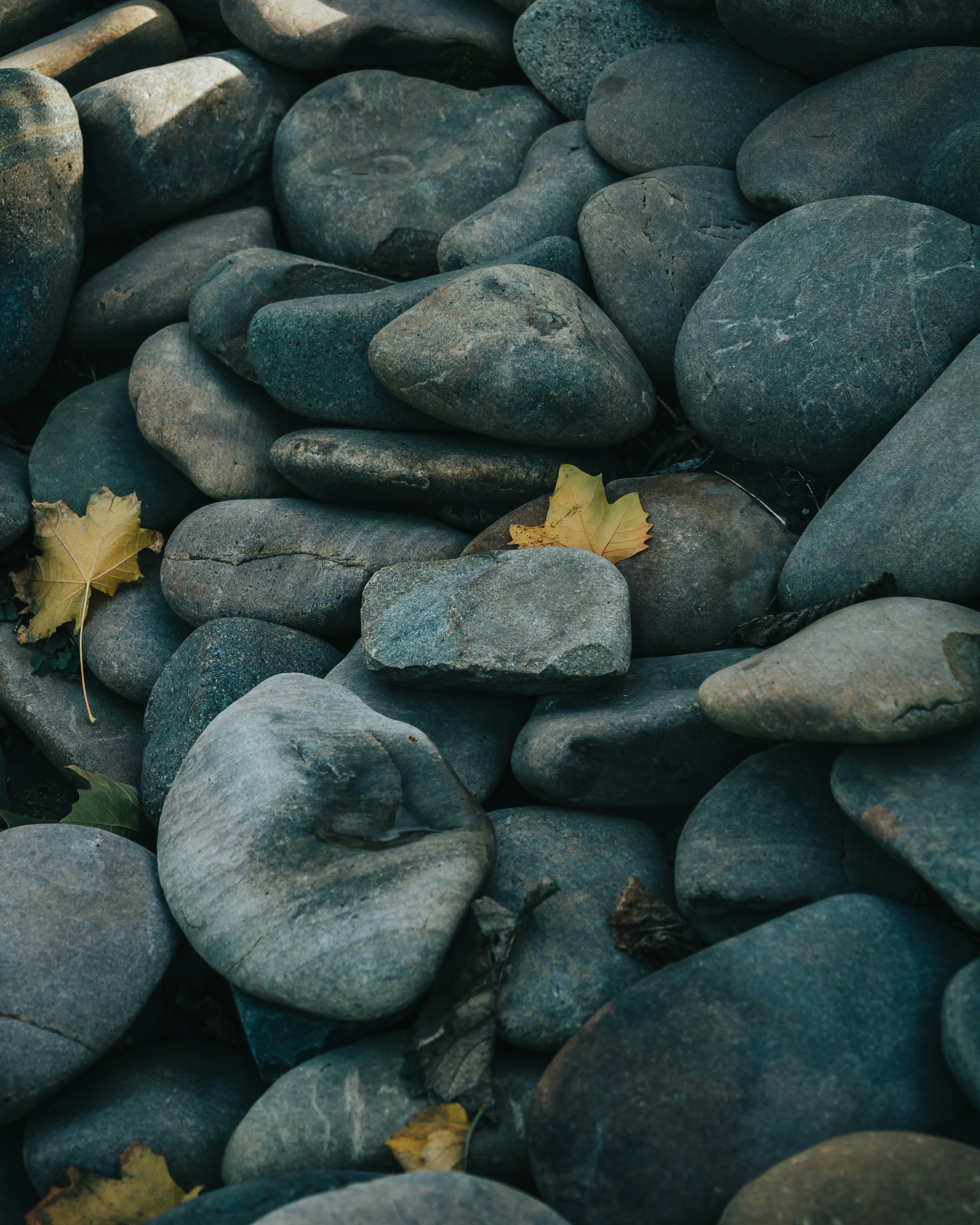 halloween wallpaper textures, wallpaper, Simple Halloween Crafts for Adults with Disabilities 2