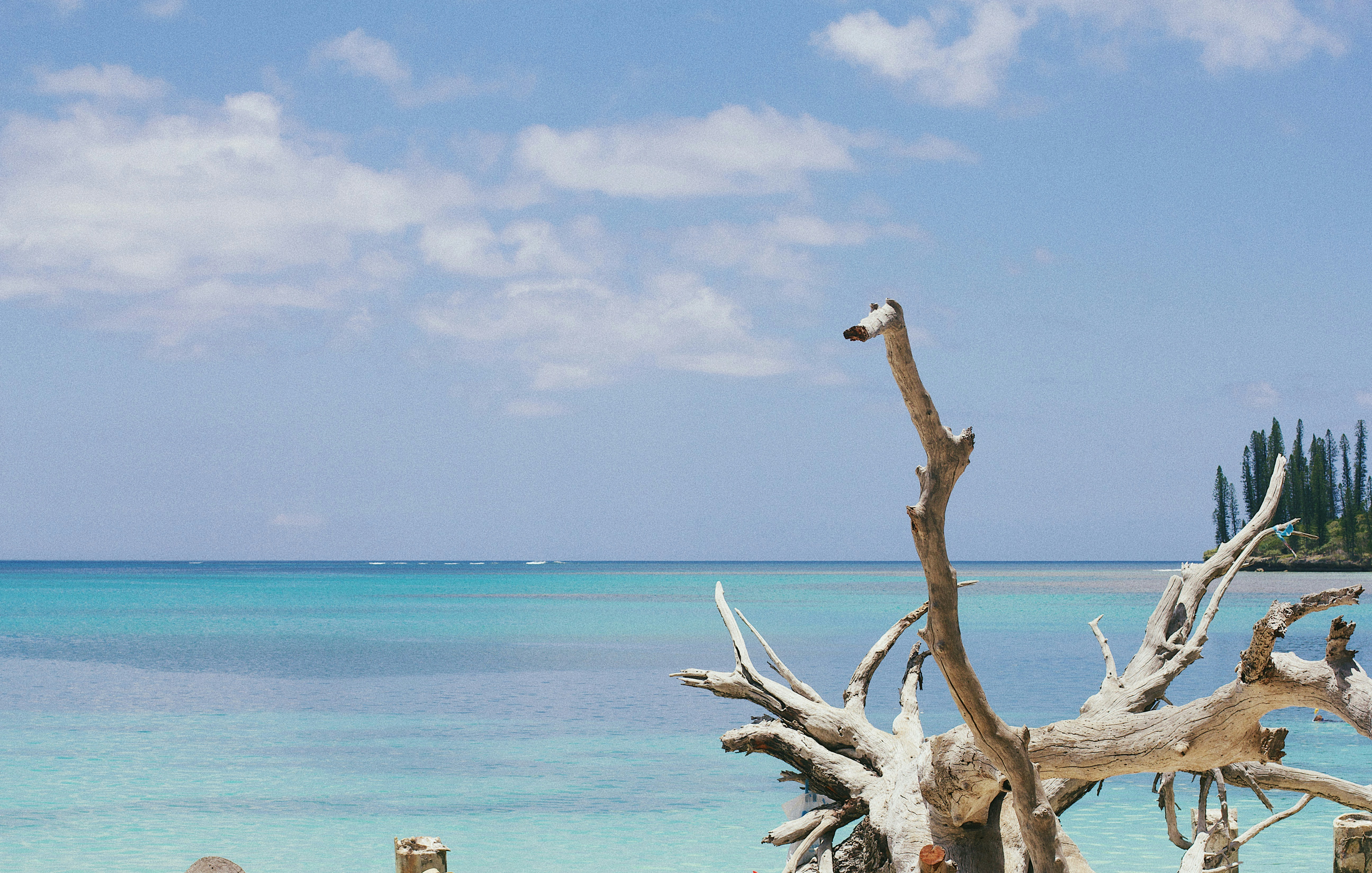 Photo by raegocreative