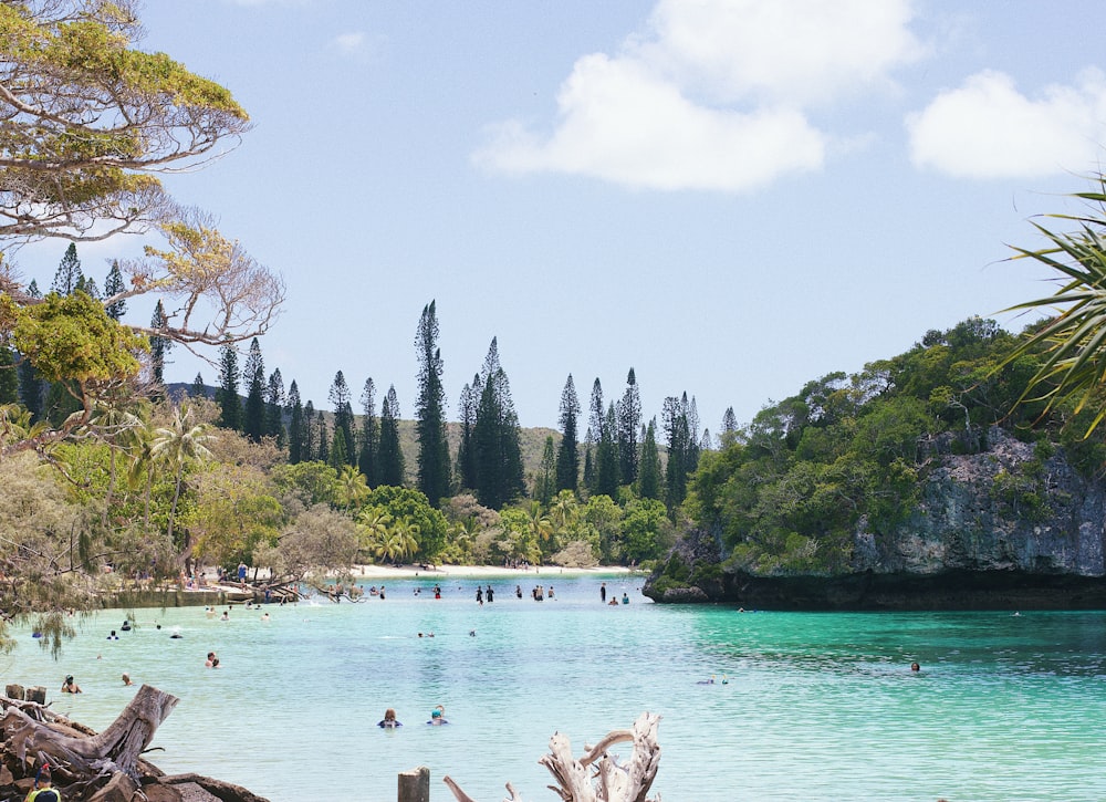 a group of people swimming in a blue body of water