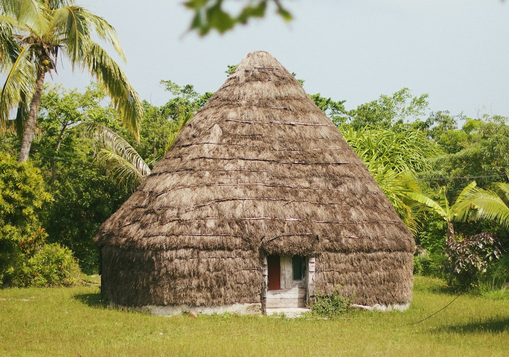 a house made of sticks