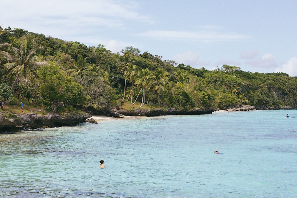 people swimming in a body of water