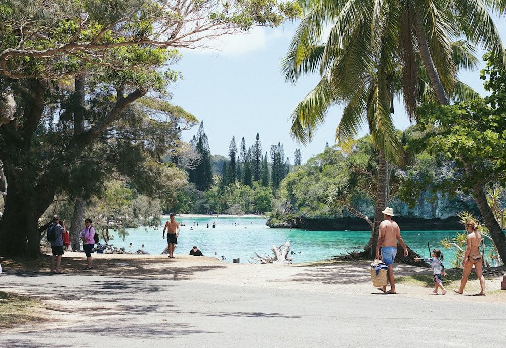 people on a beach