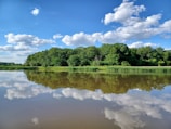 A tranquil lake reflecting the blue sky and greenery.
