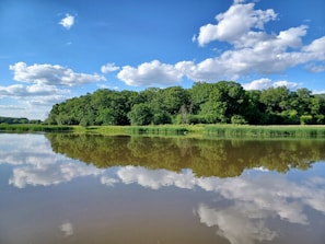 A tranquil lake reflecting the clear blue sky and surrounding nature.