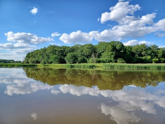 A tranquil lake reflecting the clear blue sky and surrounding nature.