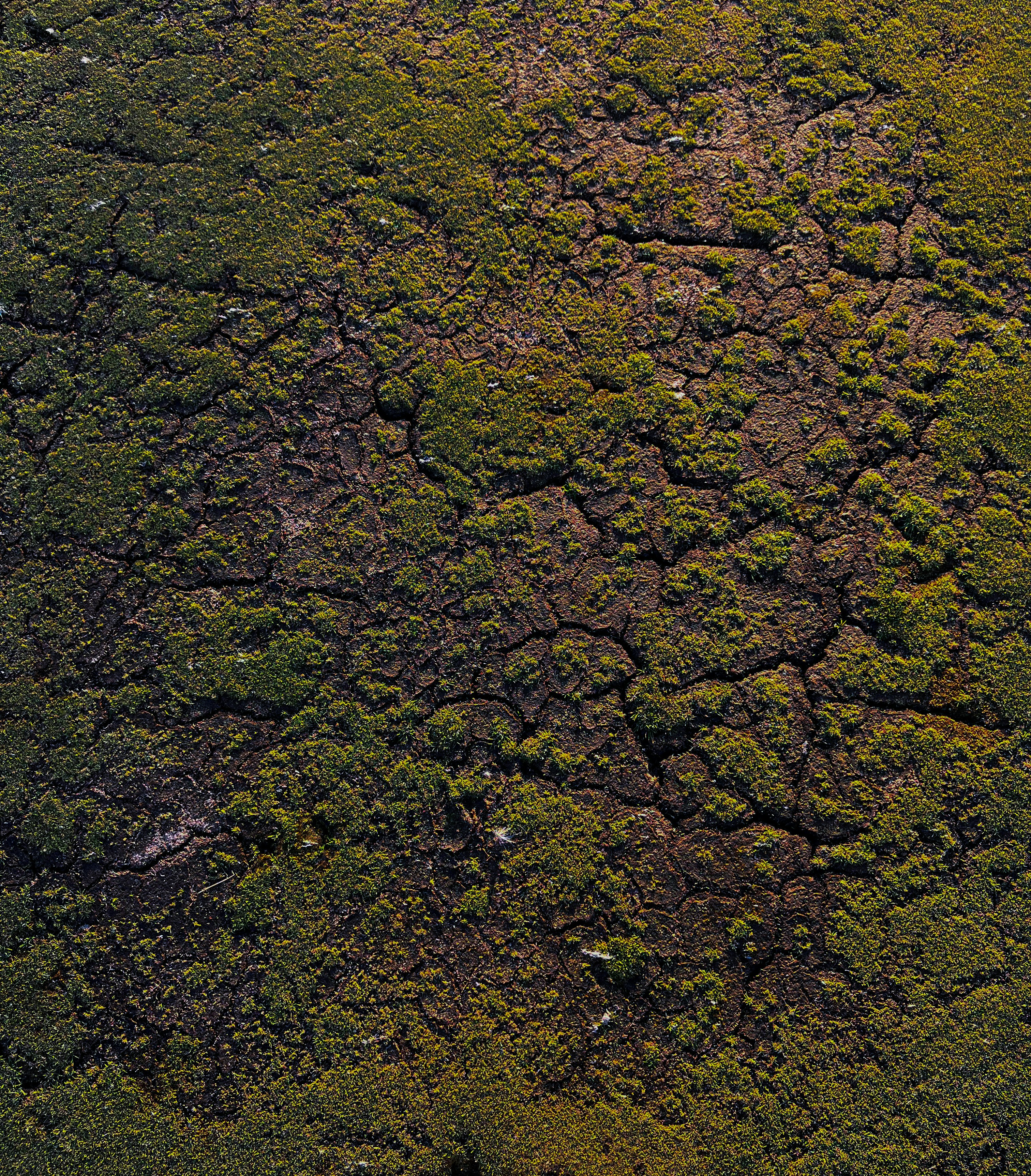 a close up of a rock