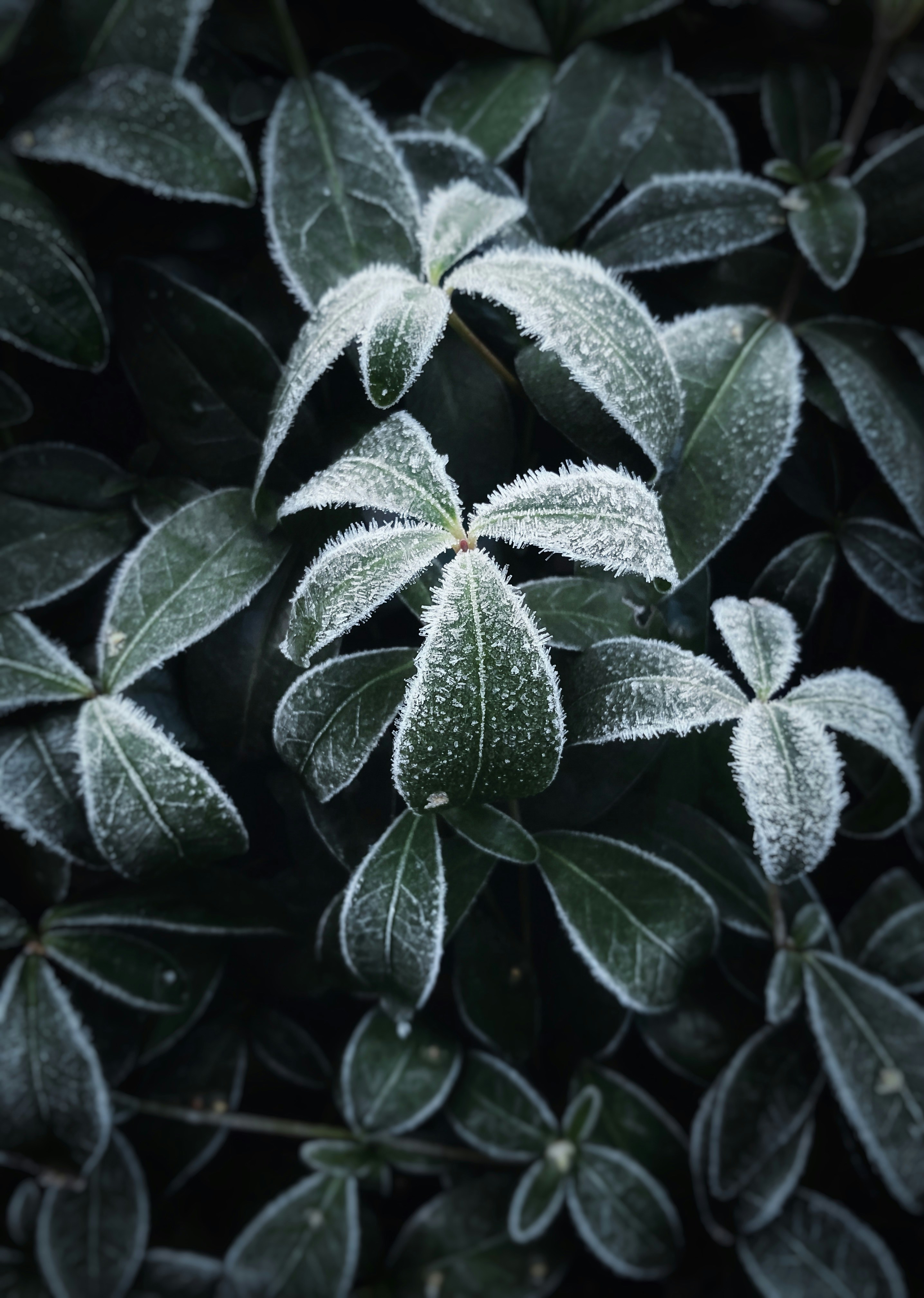 Photo by eugene_golovesov