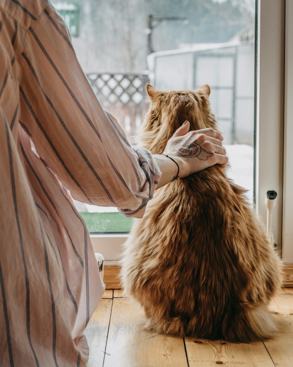 a person holding a cat