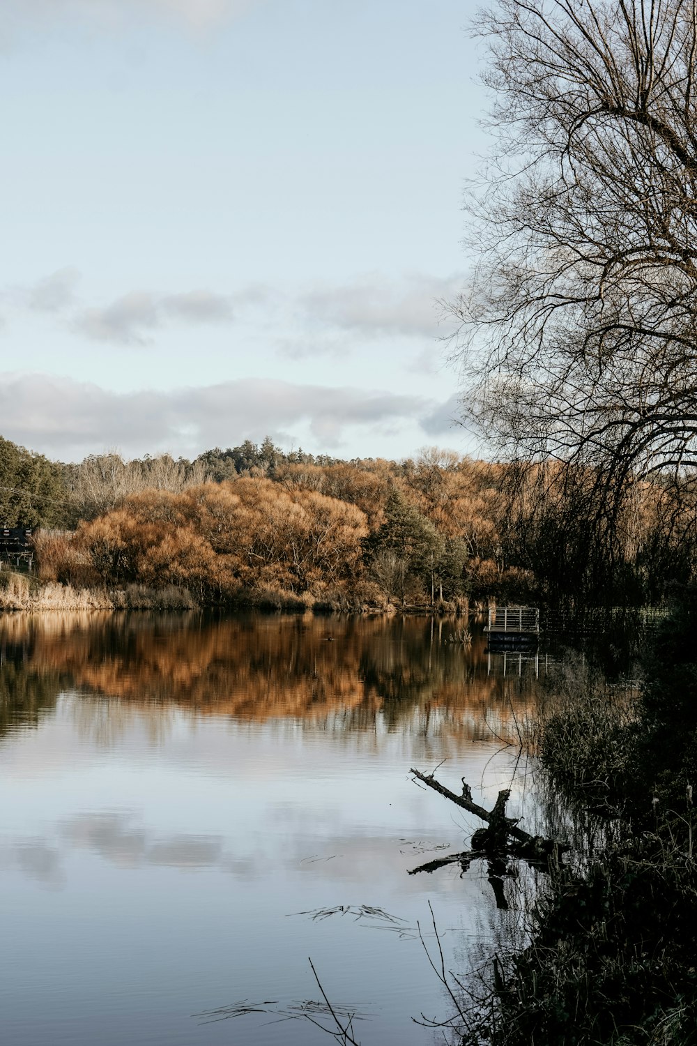 a body of water with trees around it