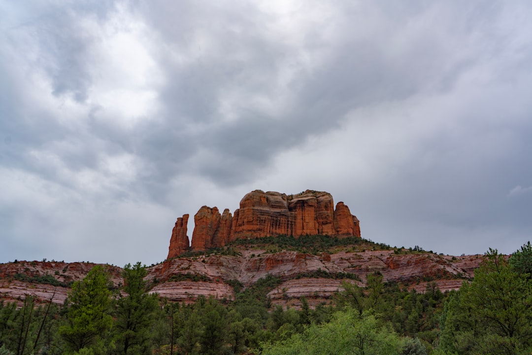 a rocky mountain with trees below