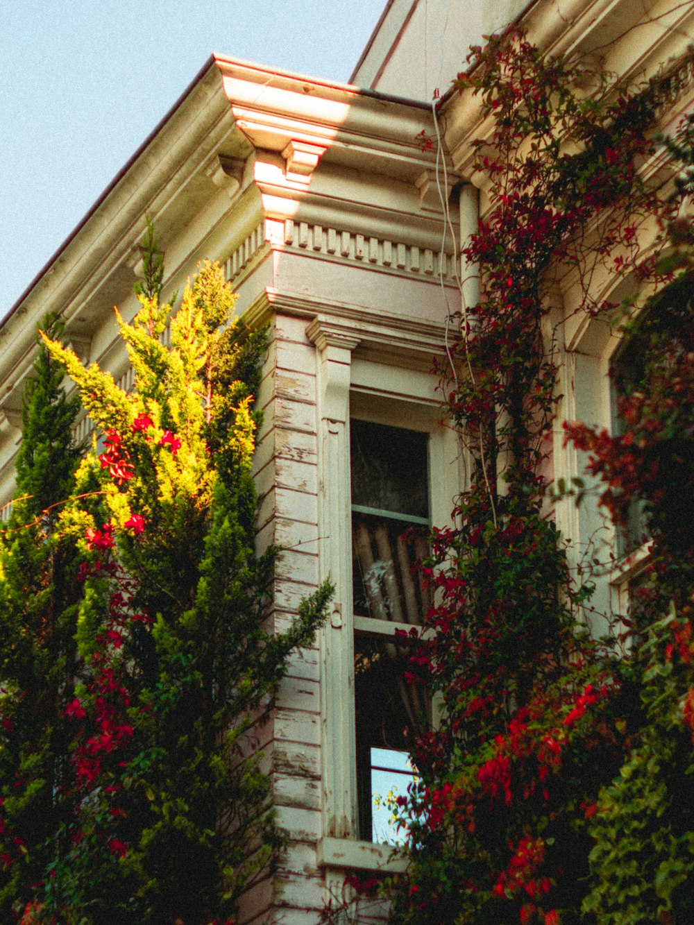 a building with plants growing on the side