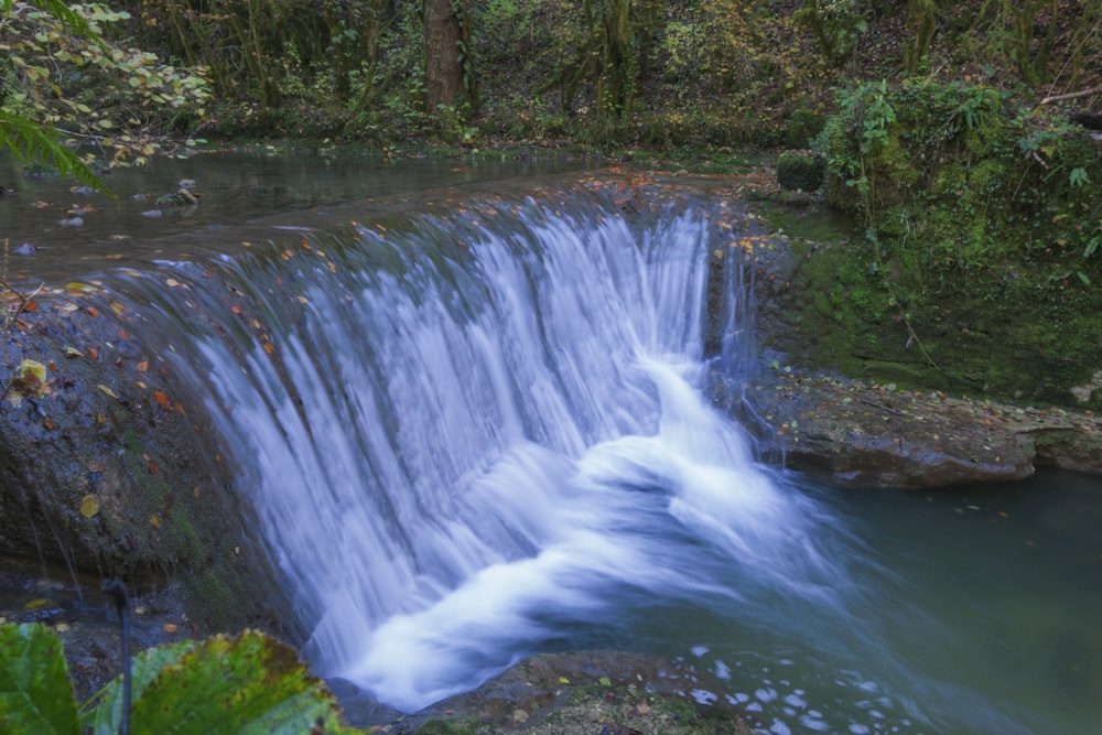 a waterfall in a forest