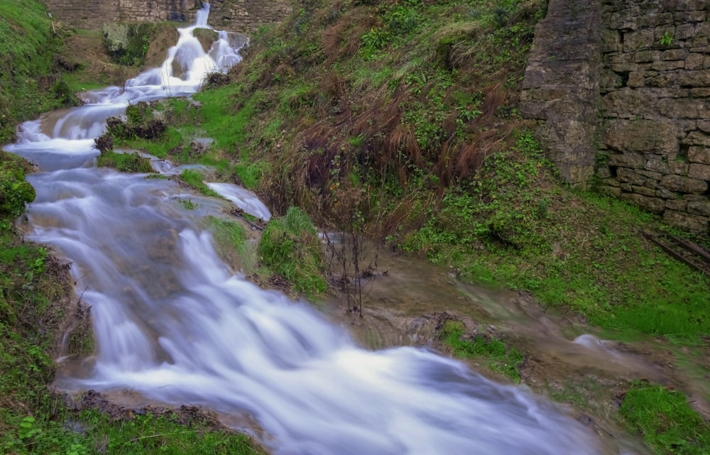 un fiume che attraversa una zona erbosa