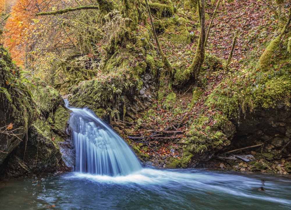 Una cascata in una foresta