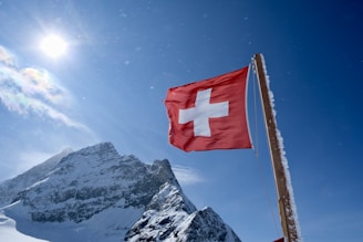 a flag on a pole