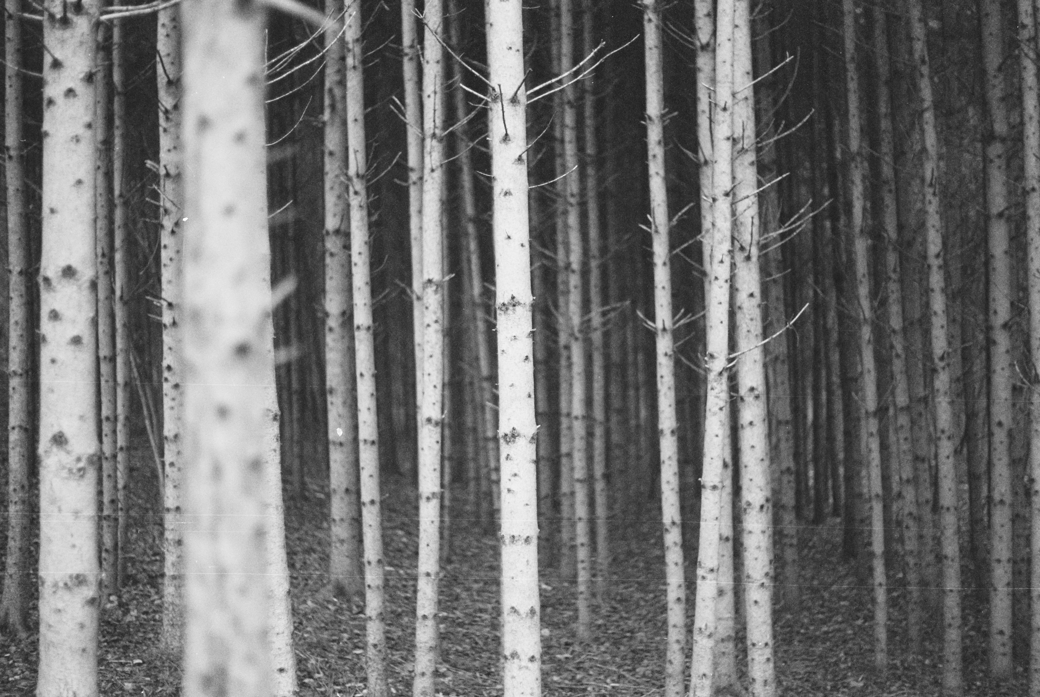 Photo by markusspiske