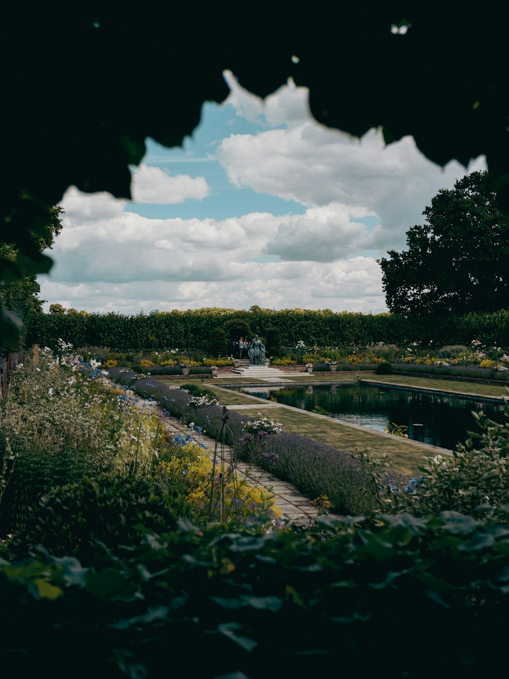 a pond with a path and plants