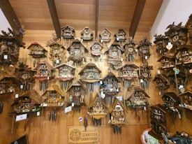 A collection of intricately designed cuckoo clocks displayed on a wooden wall. The clocks vary in size and design, featuring detailed carvings, miniature figurines, and ornate decorations. The setting appears to be a shop or exhibit dedicated to showcasing these traditional timepieces.