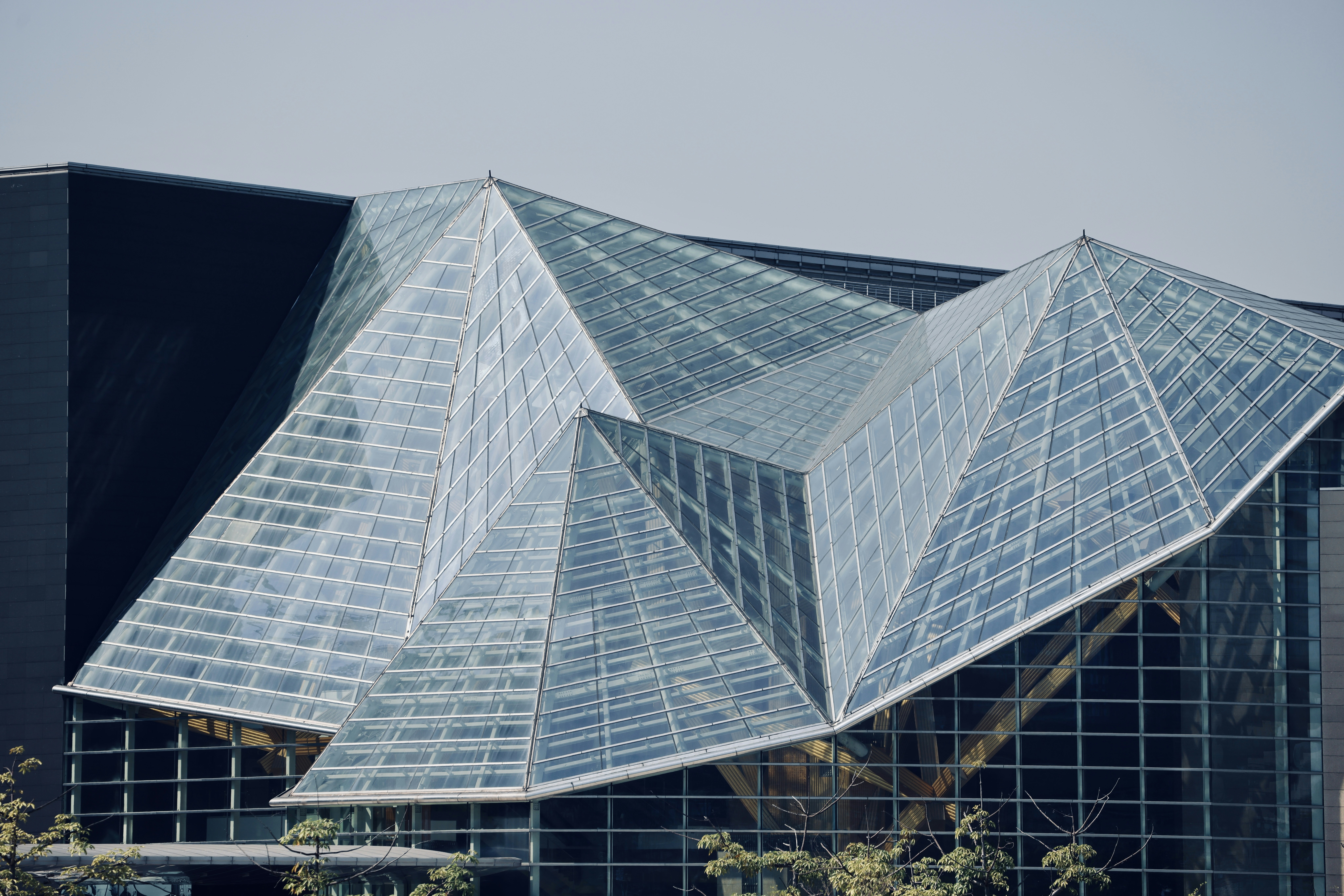 Photo by dickenslin76