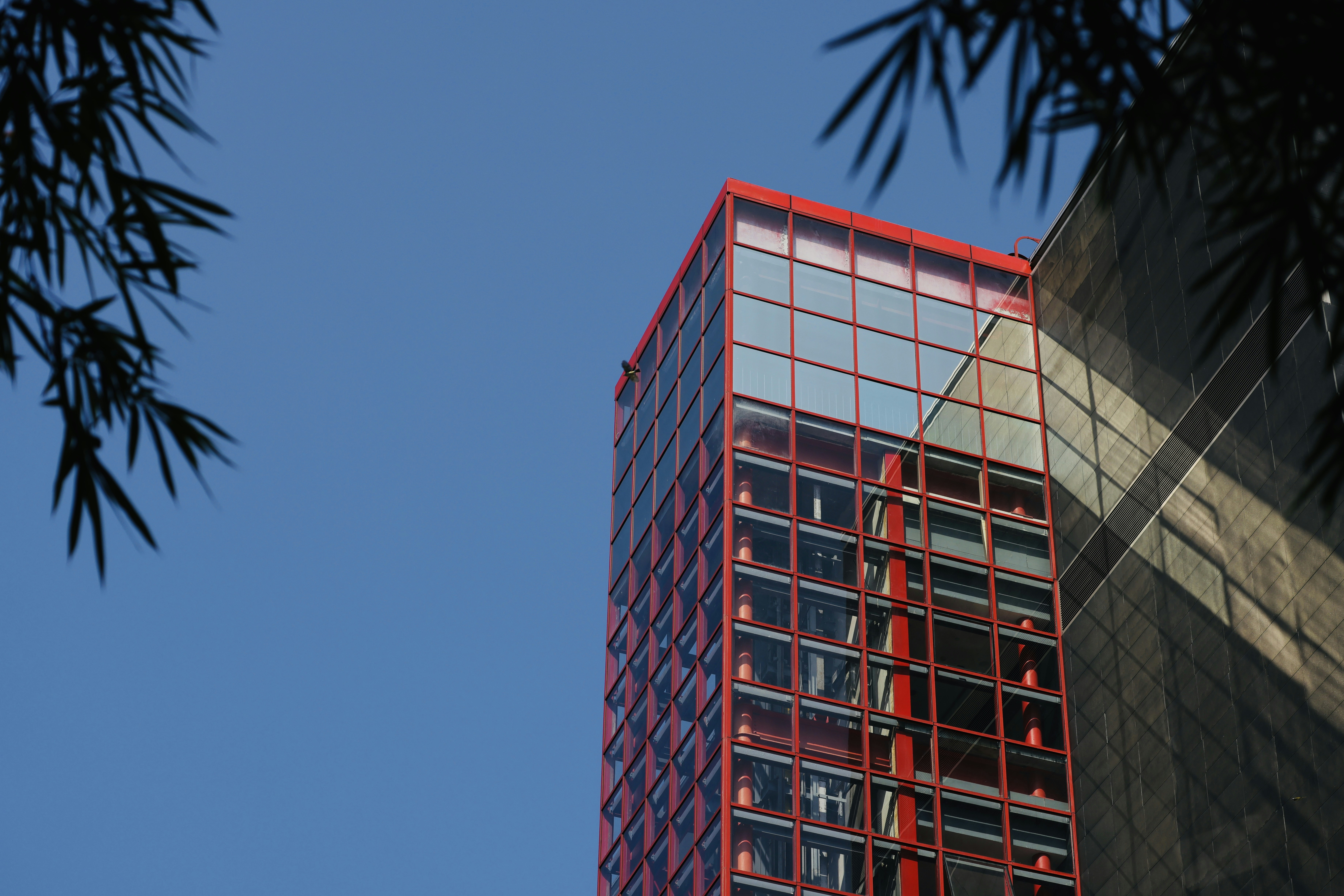 Photo by dickenslin76