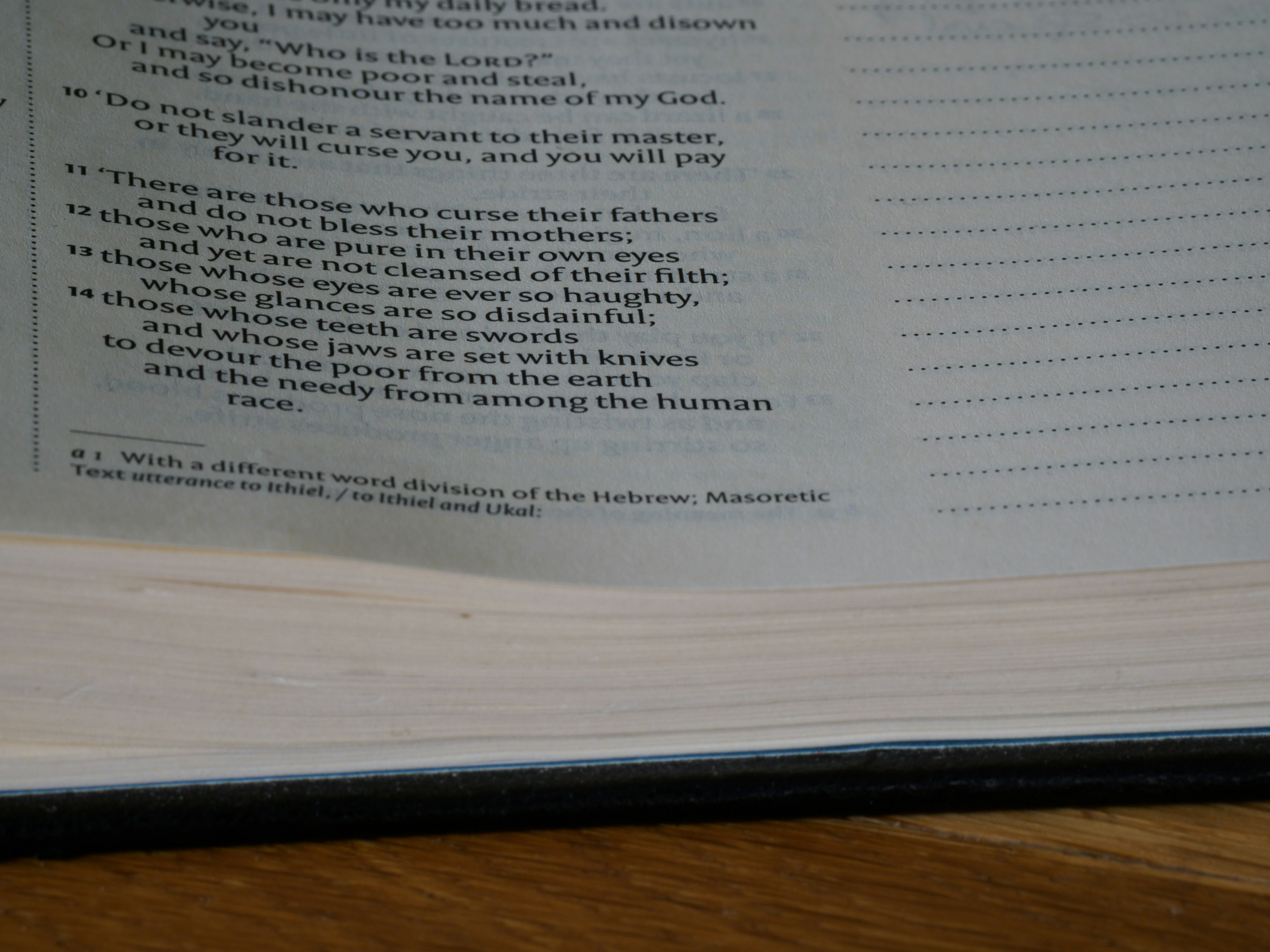 Photo by brett_jordan