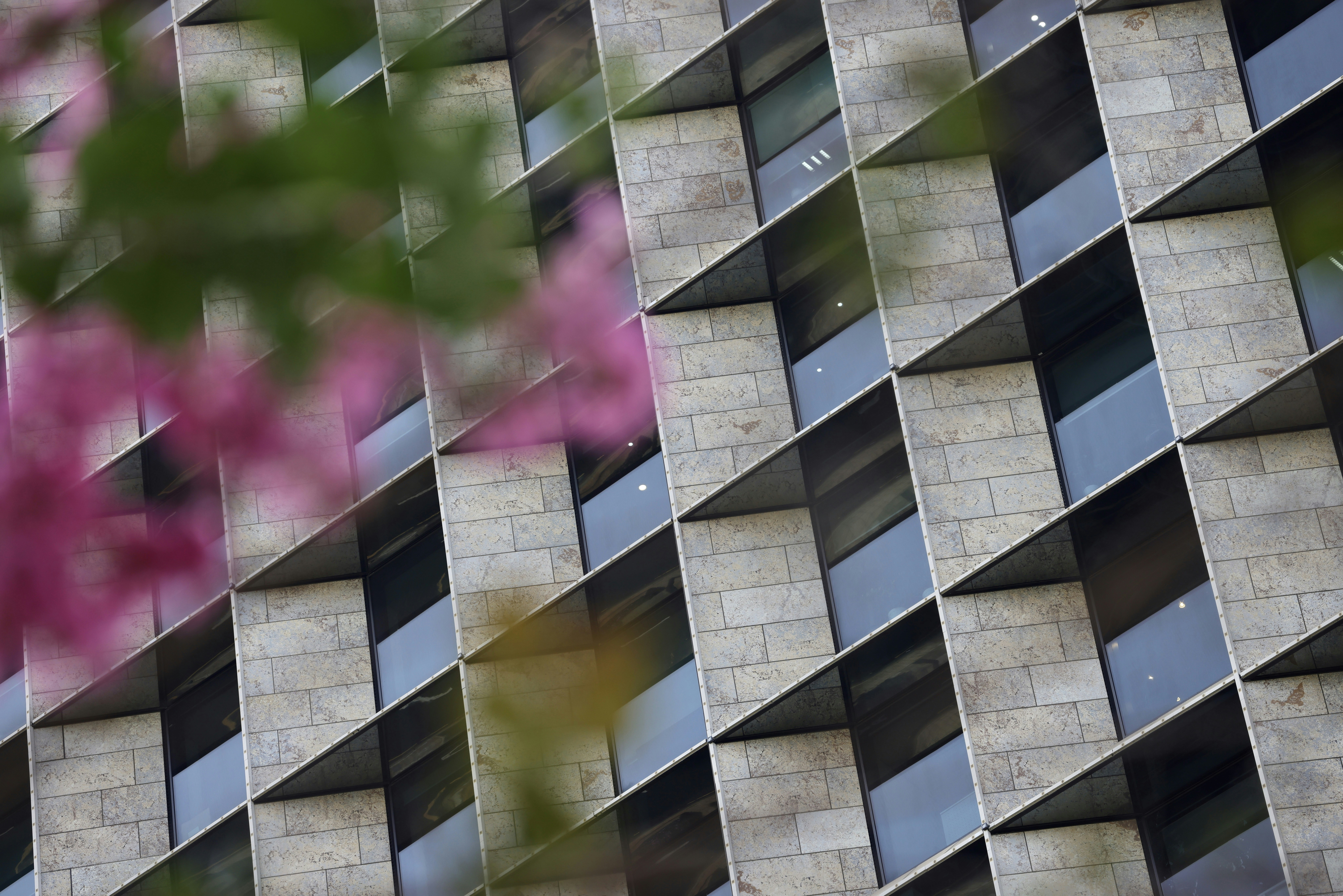 Photo by dickenslin76