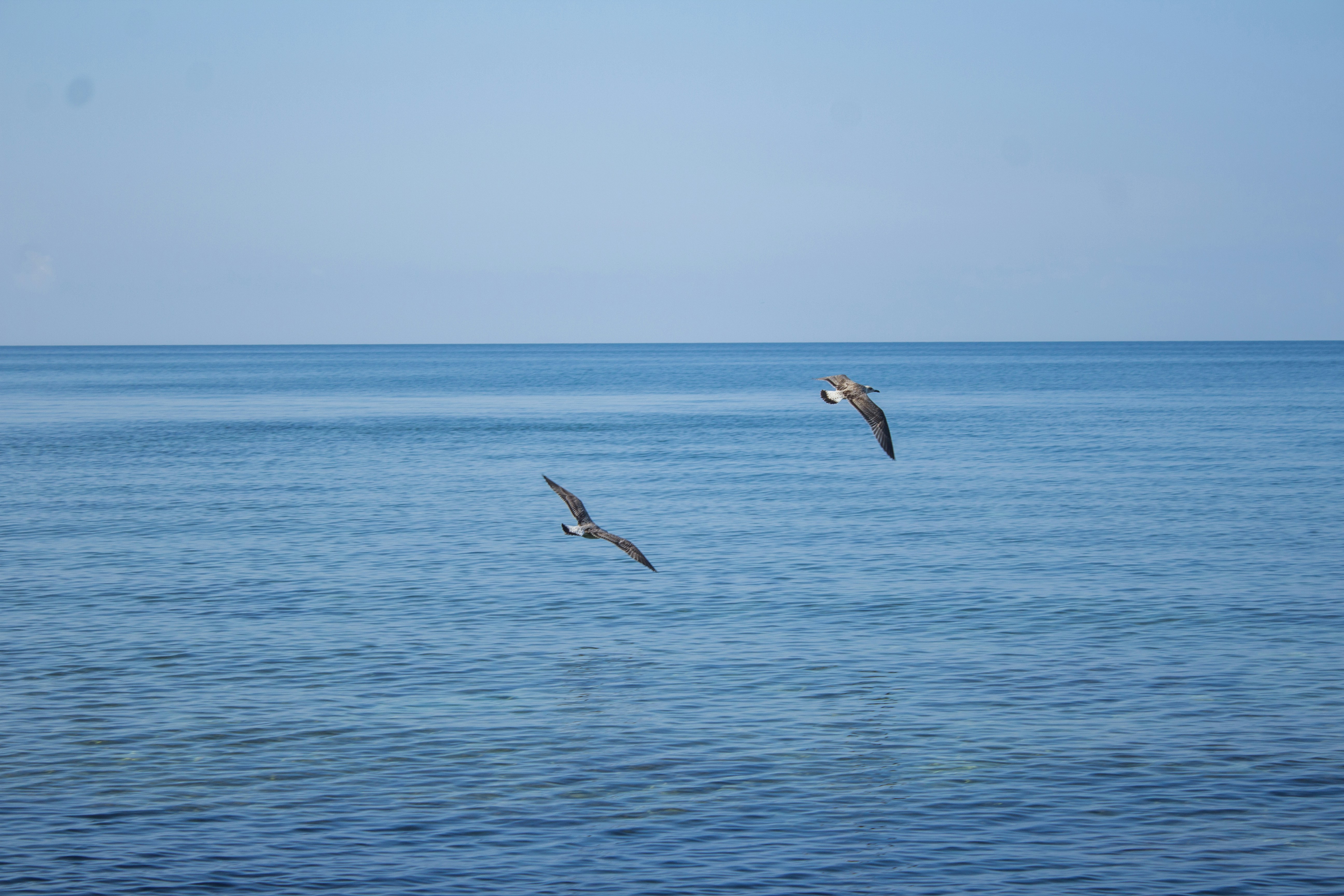 Photo by k_goncharov_