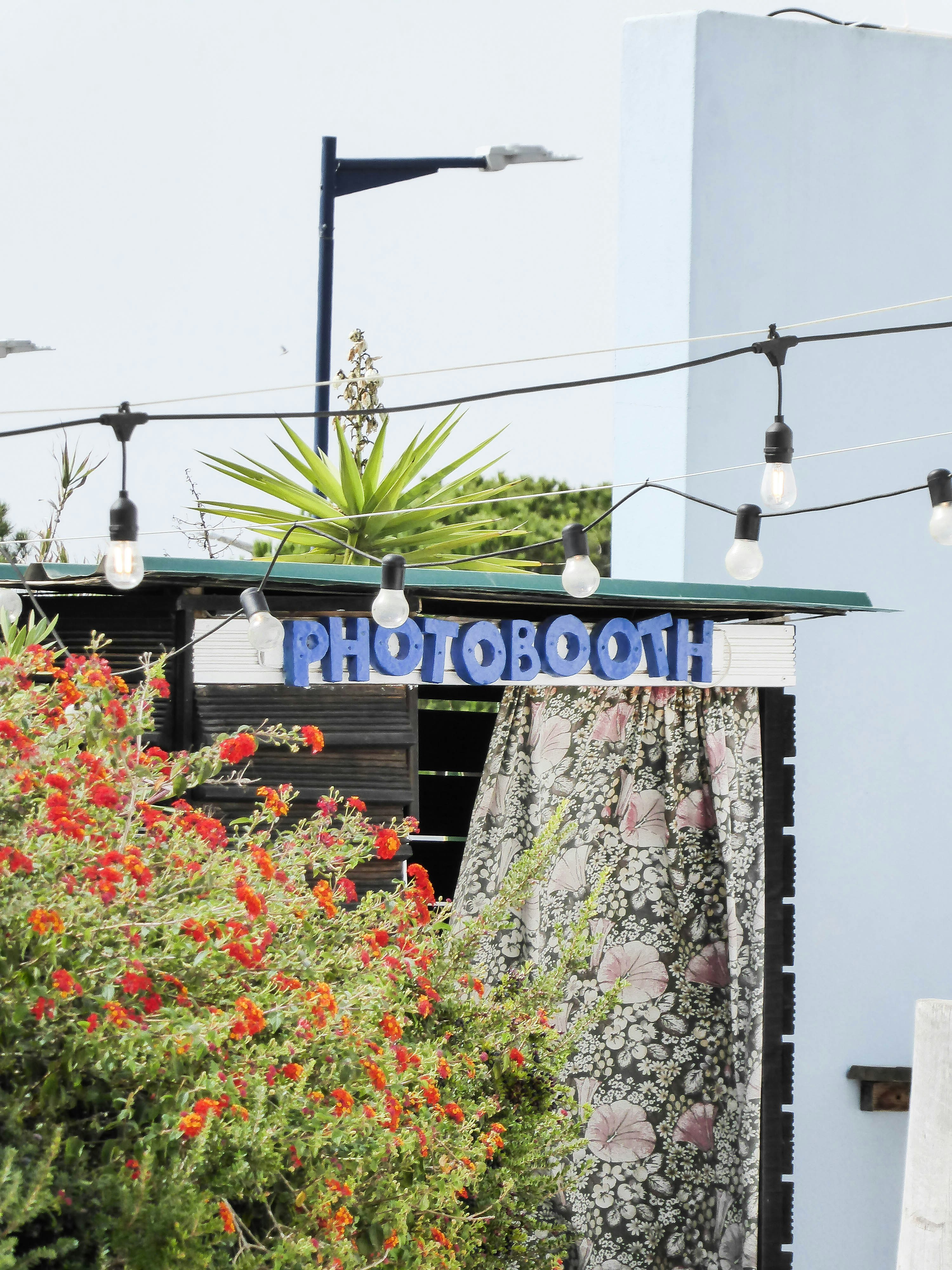a sign with a plant on it