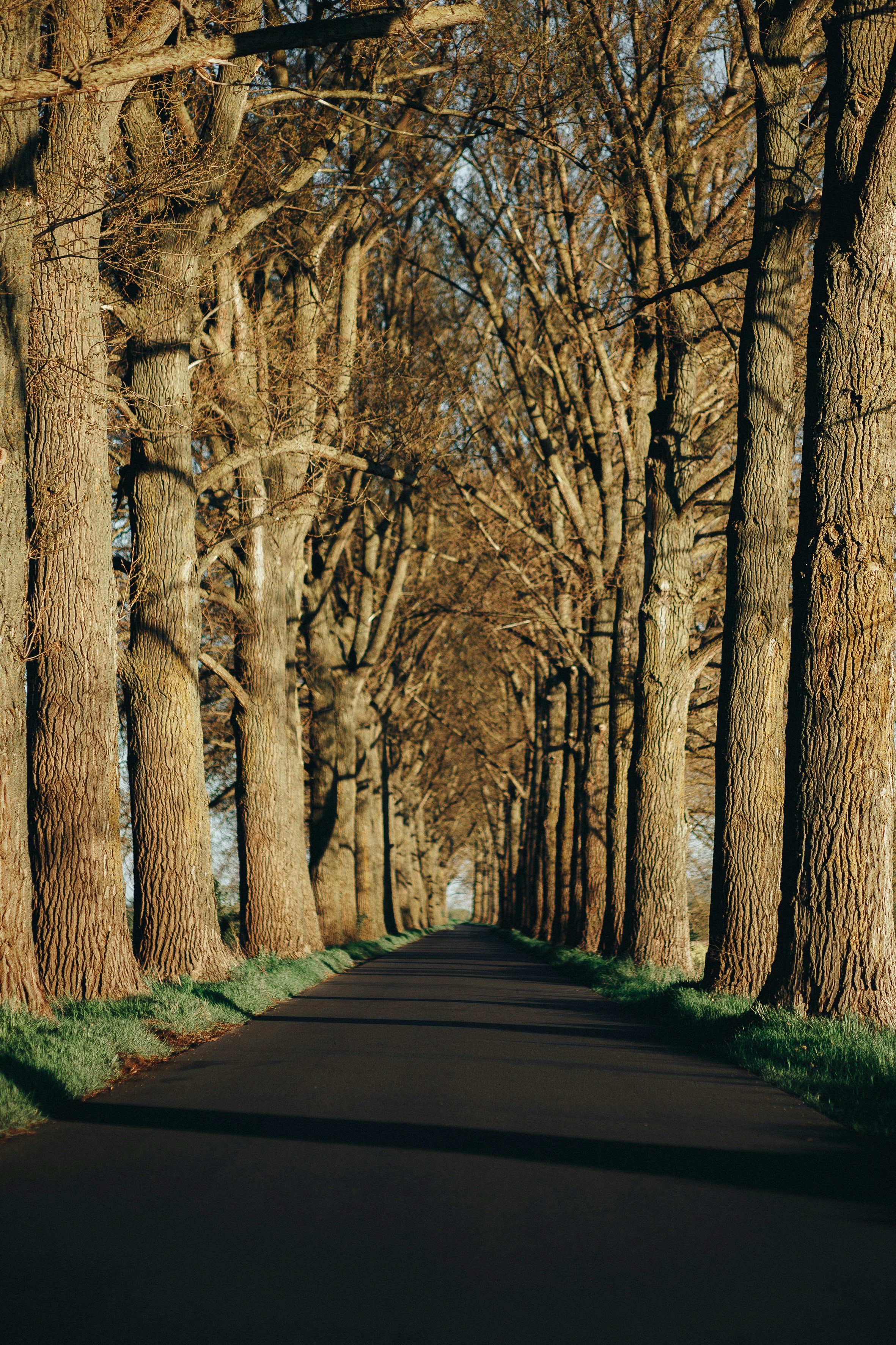 Lot De 9, Pot De Fleurs Suspendu Pour Fraises De 3 Gallons