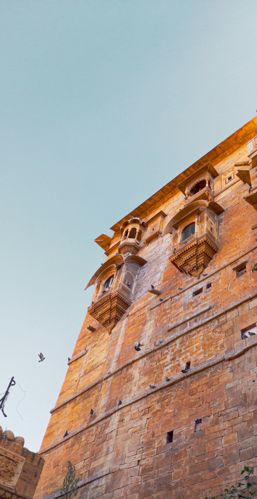 a brick building with a bird flying by it