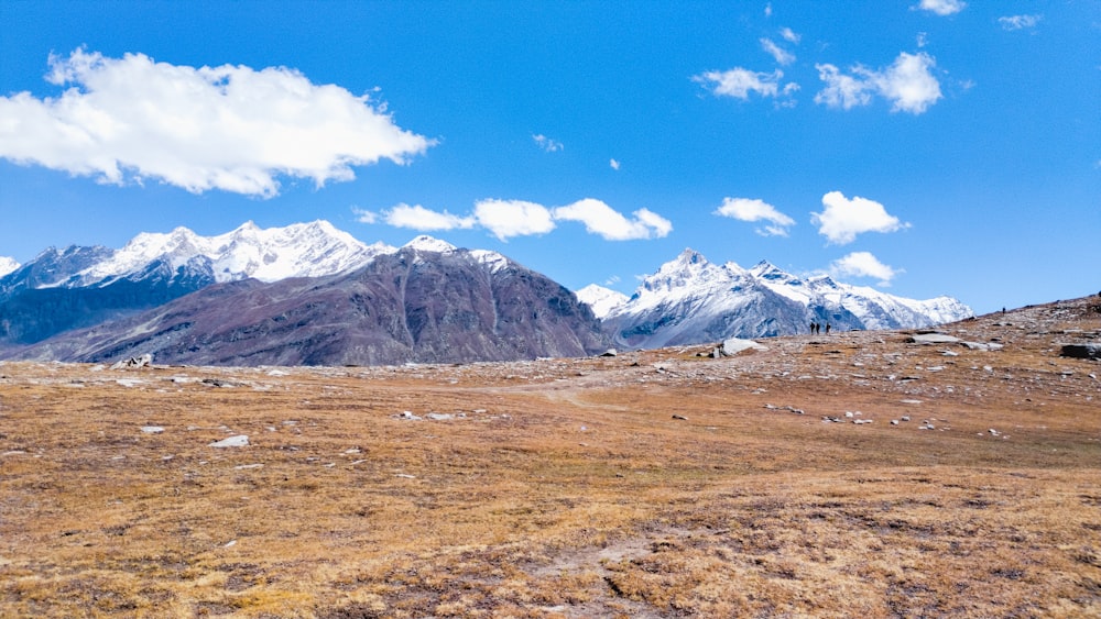 a landscape with mountains in the back