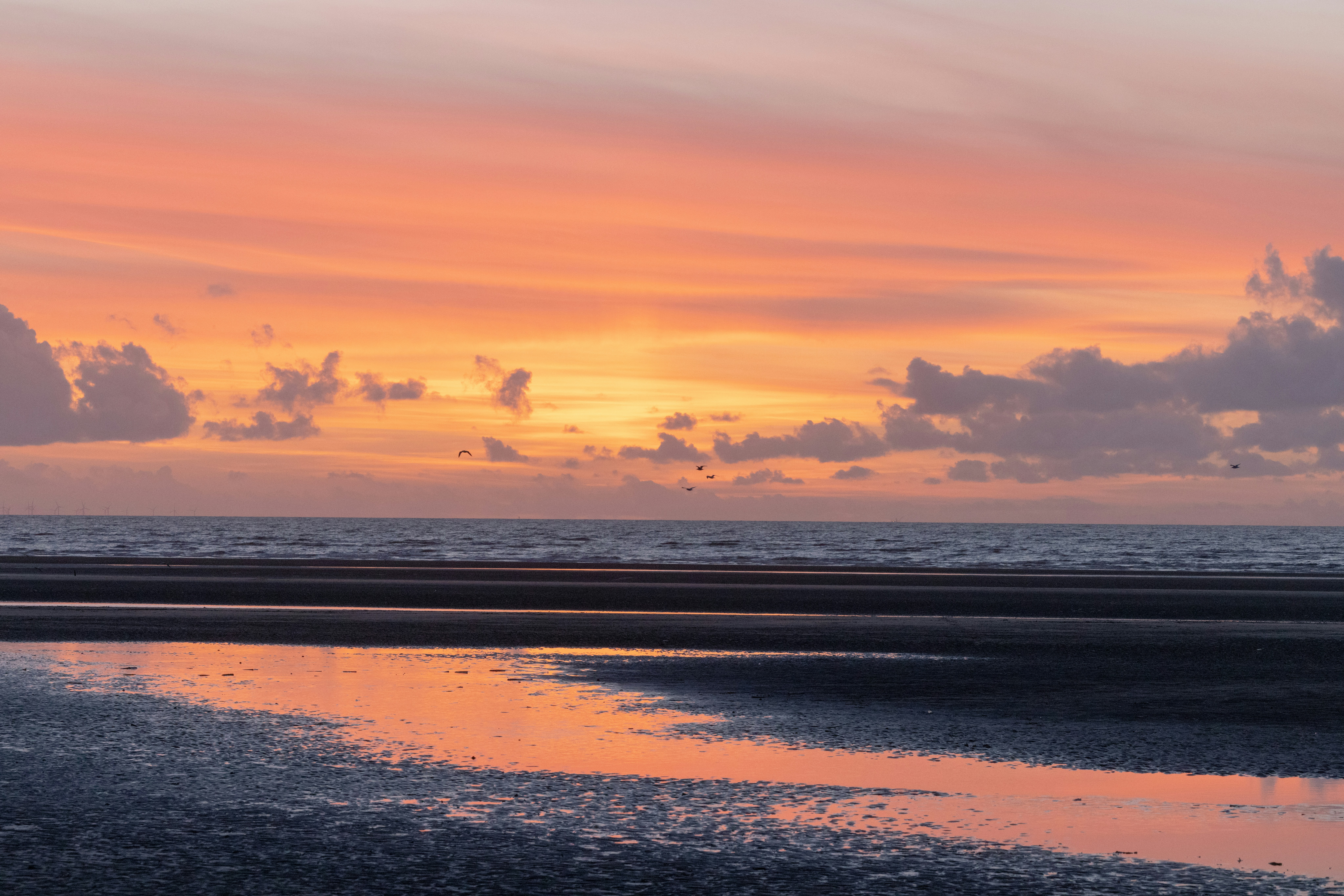 Photo by cheng_recluse