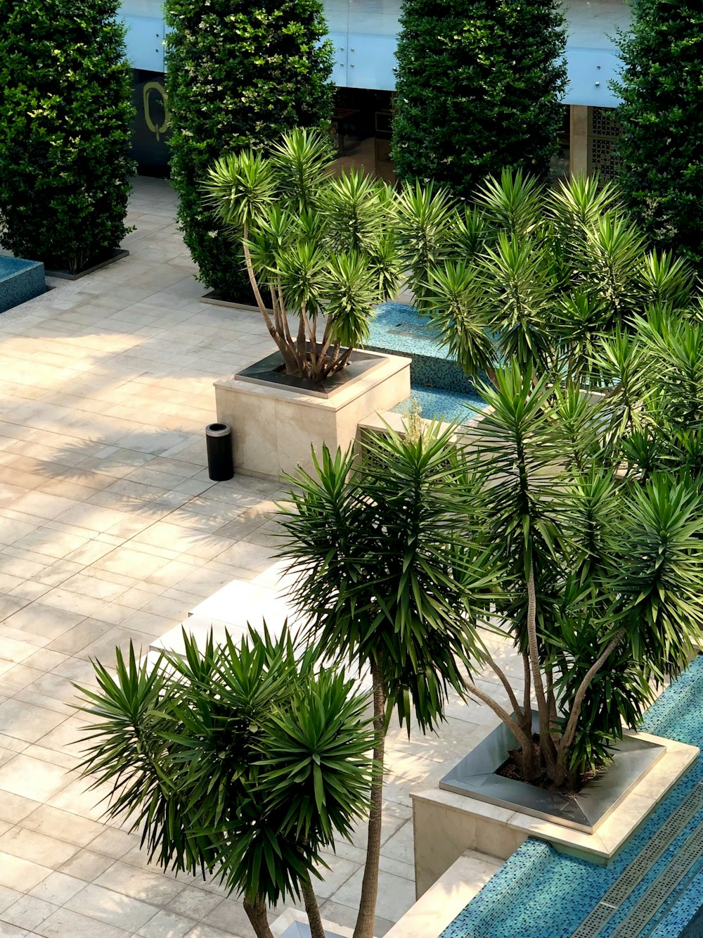 a courtyard with potted plants