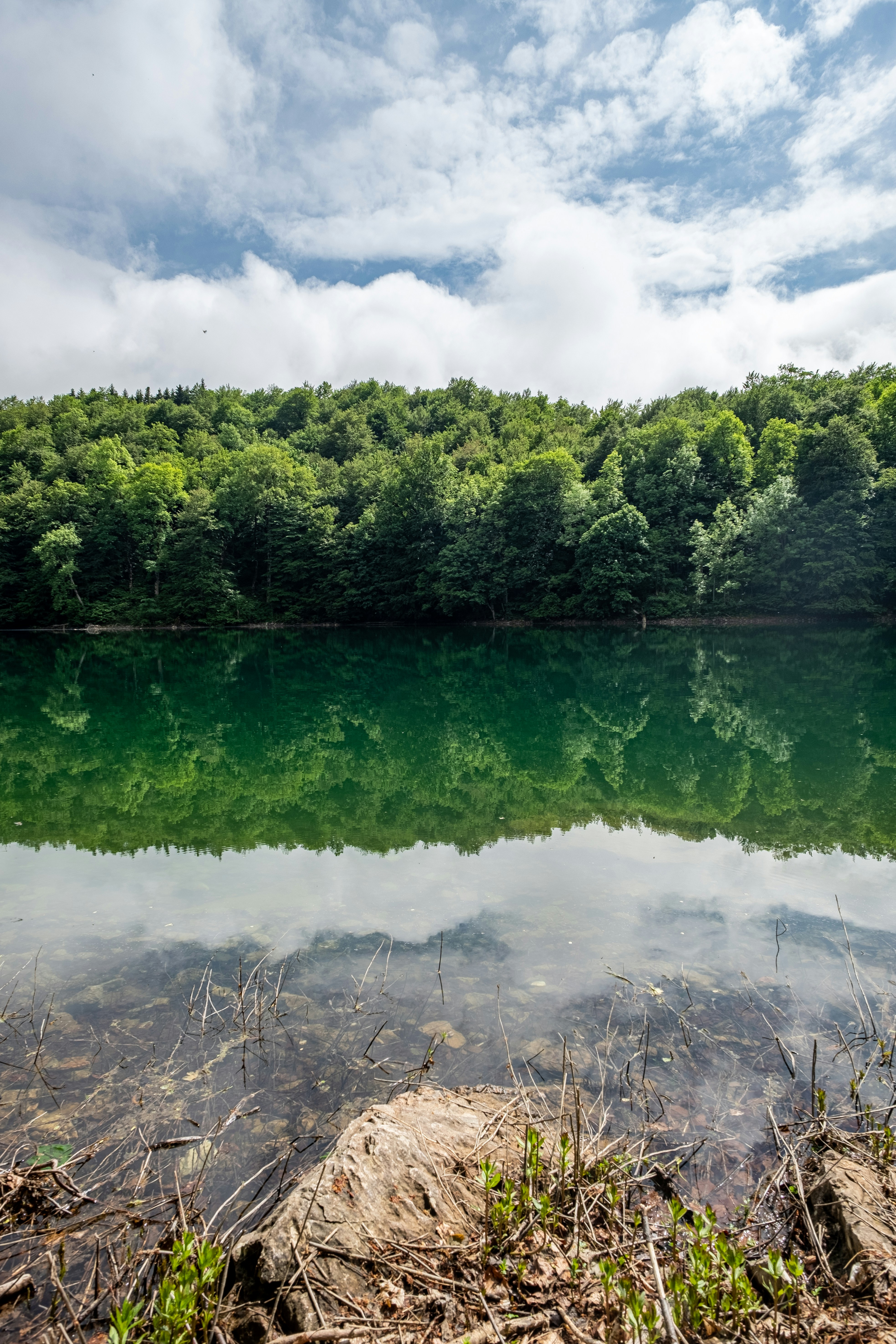 Photo by christian_thoeni